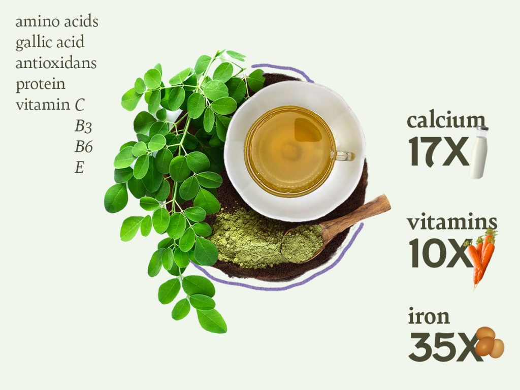Inforgraphic showing high nutritional content on moringa leaf