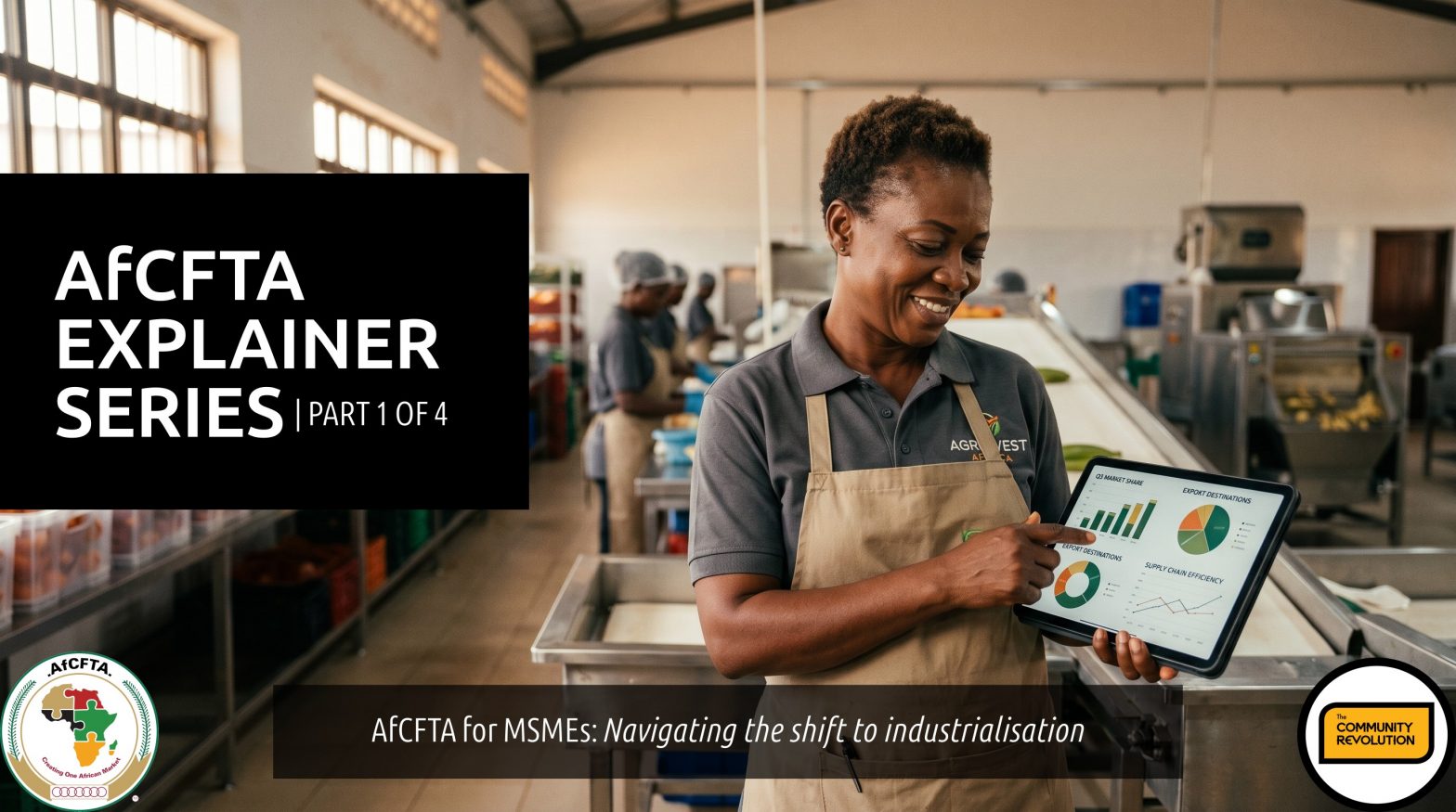 AfCFTA Explainer Series (Part 1 of 4): Navigating the shift to industrialisation (MSMEs)